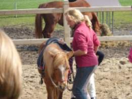 Coaching Inge Van Hoecke pony